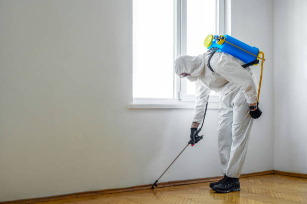 Best Local Pest Control Services  in Cold Spring, MN
