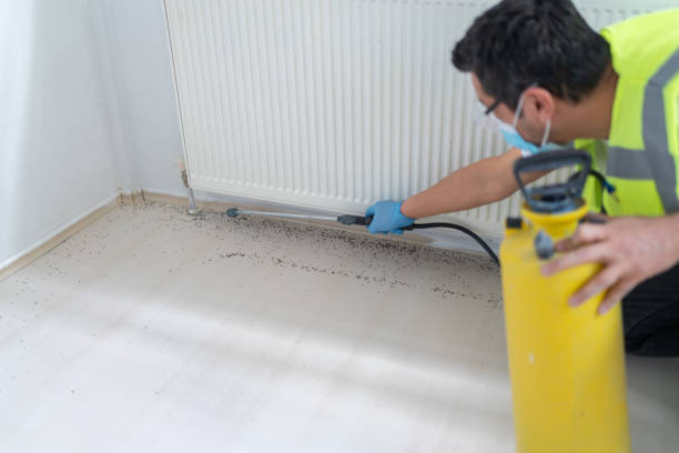 Professional Pest Control in Cold Spring, MN